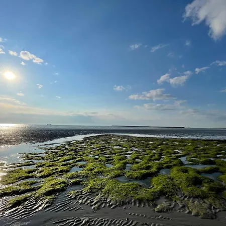 Superbe Vue Face A Nausicaa 아파트 볼로뉴쉬르메르