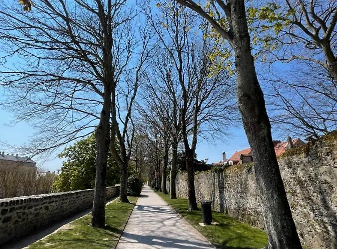 Superbe Vue Face A Nausicaa